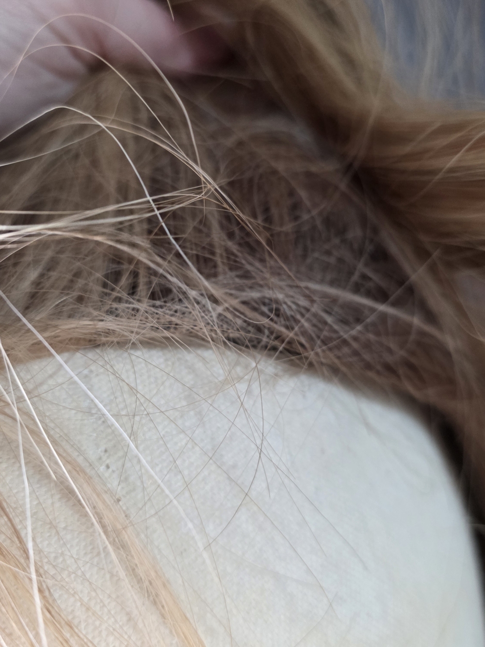Perfectly You Lace Top Human Hair Wig - Picture 11 of 16